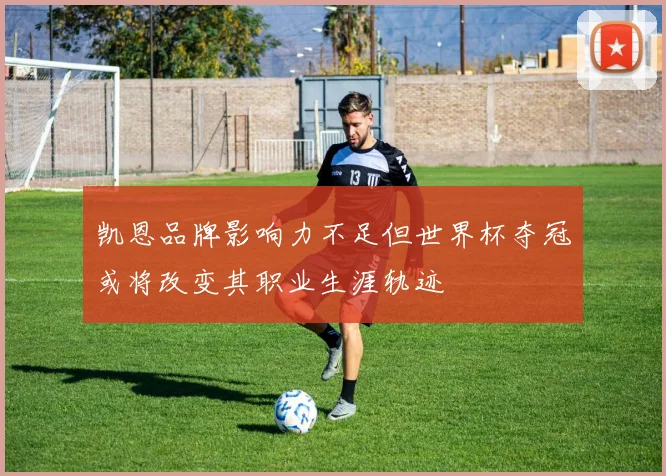 凯恩品牌影响力不足但世界杯夺冠或将改变其职业生涯轨迹